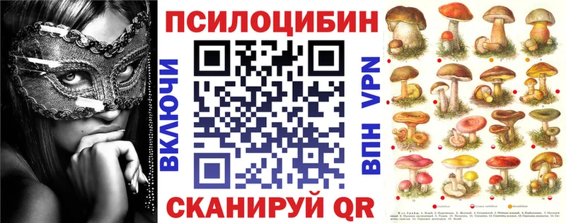 купить наркоту  сайты даркнета Telegram  Галлюциногенные грибы ЛСД  Каргополь 